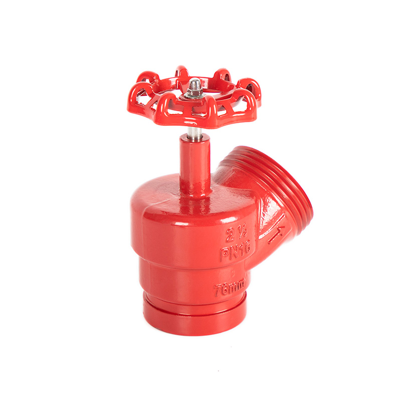 Ductile Iron DN65 Angle Valve