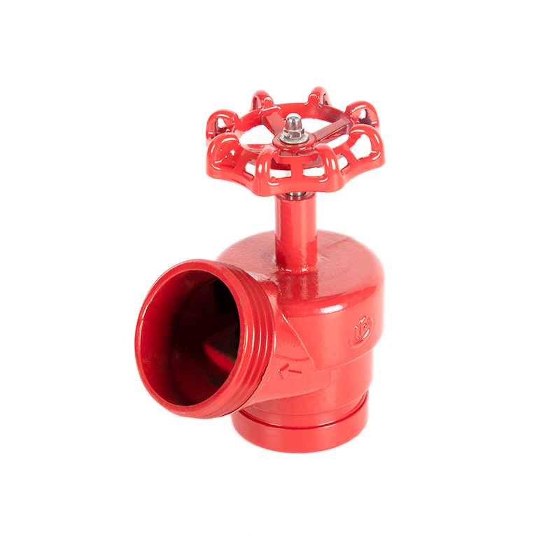 Ductile Iron DN65 Angle Valve