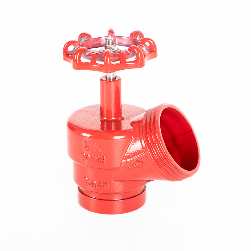 Ductile Iron DN65 Angle Valve