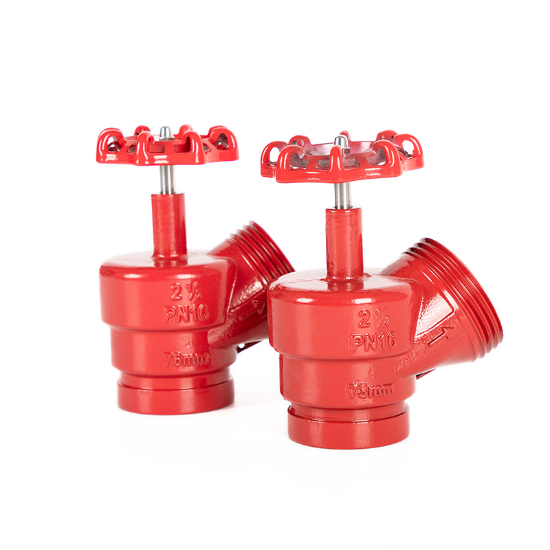 Ductile Iron DN65 Angle Valve